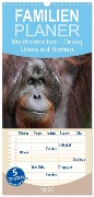 Familienplaner 2025 - Waldmenschen - Orang Utans auf Borneo mit 5 Spalten (Wandkalender, 21 x 45 cm) CALVENDO - Michael Herzog