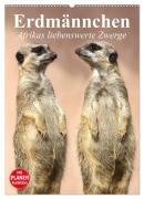 Erdmännchen - Afrikas liebenswerte Zwerge (Wandkalender 2025 DIN A2 hoch), CALVENDO Monatskalender - Elisabeth Stanzer