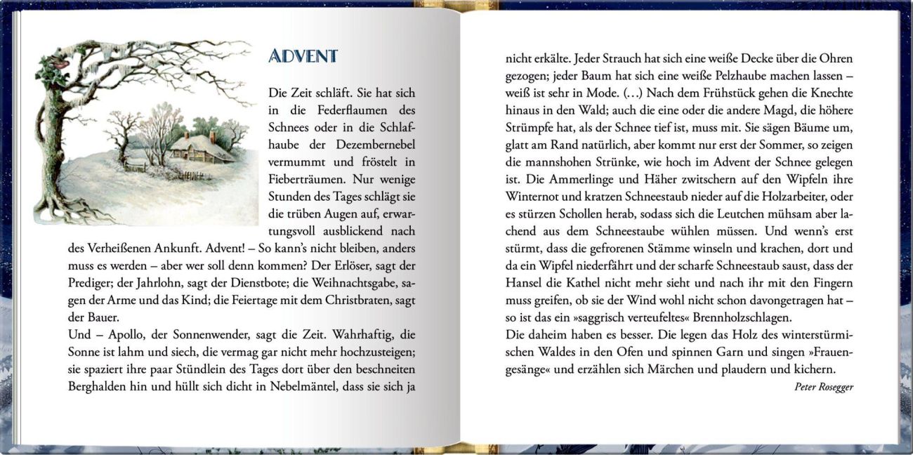 InsideView 4