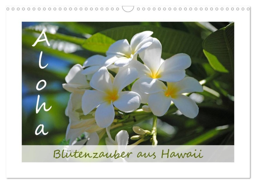 Aloha Blütenzauber aus Hawaii (Wandkalender 2027 DIN A3 quer), CALVENDO Monatskalender - Manuela Tollerian-Fornoff
