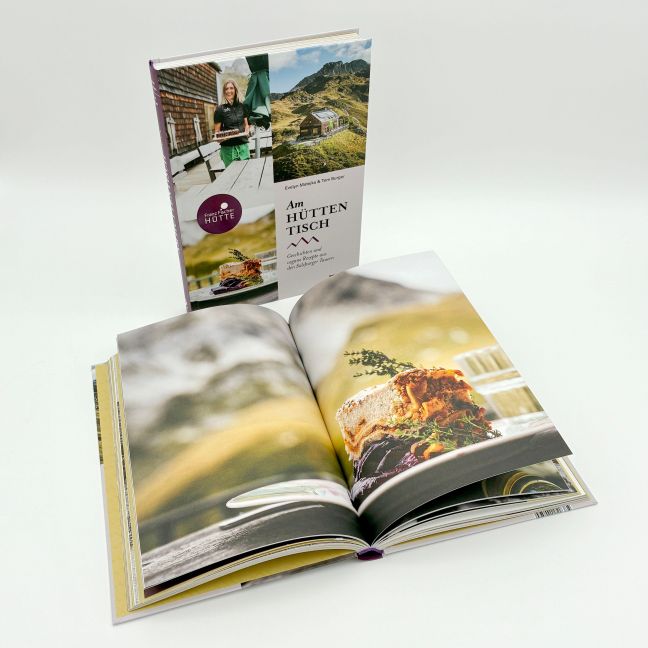 InsideView 4