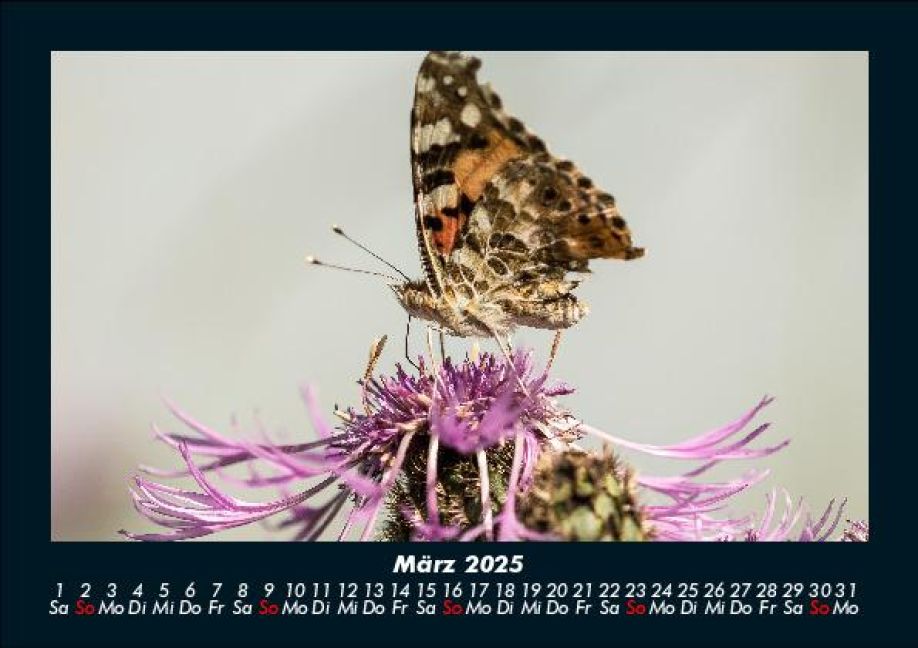 InsideView 7