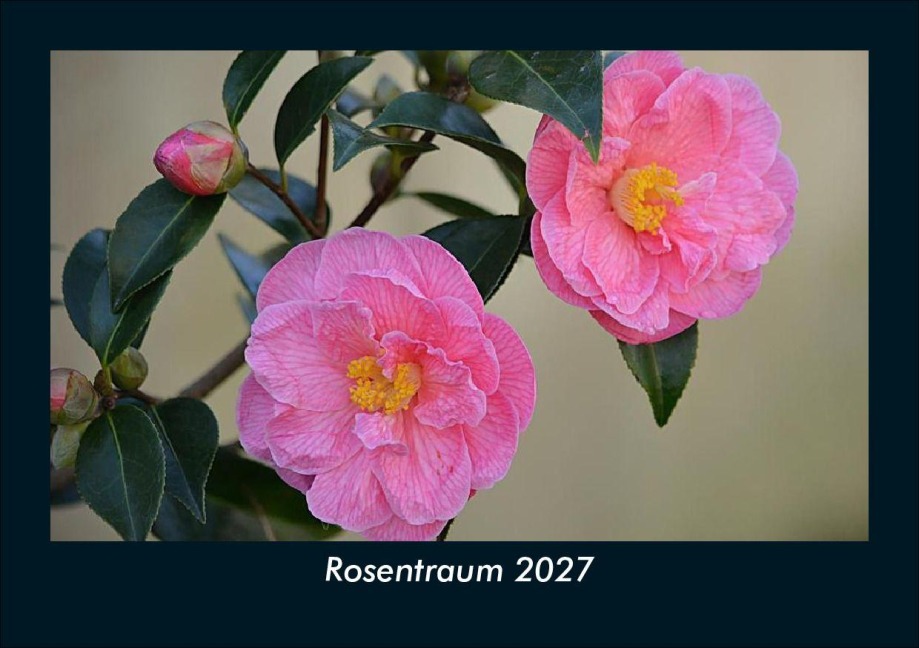 Rosentraum 2027 Fotokalender DIN A5 - Tobias Schmitt, Kevin Heber