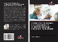 Cover-Bild zum Titel 'Fattori che influenzano il reclutamento e il mantenimento degli infermieri - W/R GHANA' von 'Sabina Bilson'