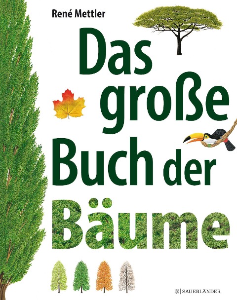 Das große Buch der Bäume - René Mettler