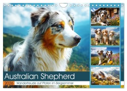 Australian Shepherd. Wanderfreude auf Pfoten im Bergsommer (Wandkalender 2026 DIN A4 quer), CALVENDO Monatskalender - Rose Hurley