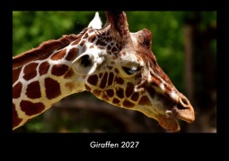 Cover-Bild zum Titel 'Giraffen 2027 Fotokalender DIN A3' von 'Tobias Becker'