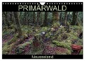 Primärwald - Neuseeland (Wandkalender 2024 DIN A4 quer), CALVENDO Monatskalender - Flori Flori0