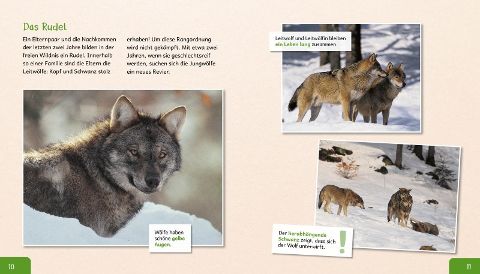 InsideView 5