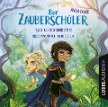 Cover-Bild zum Titel 'Fluch des Hexenmeisters' von 'Anna Taube'