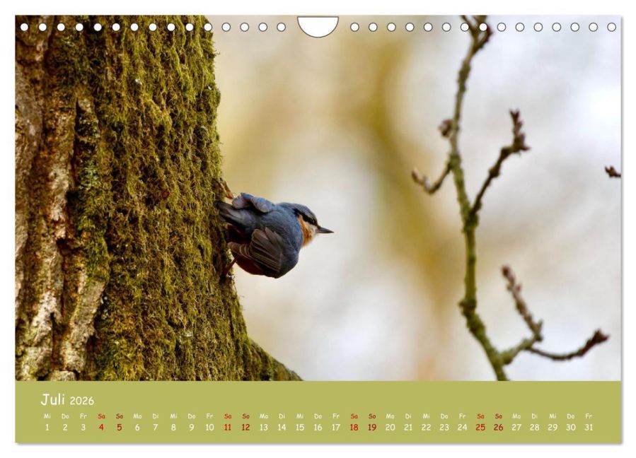 InsideView 12