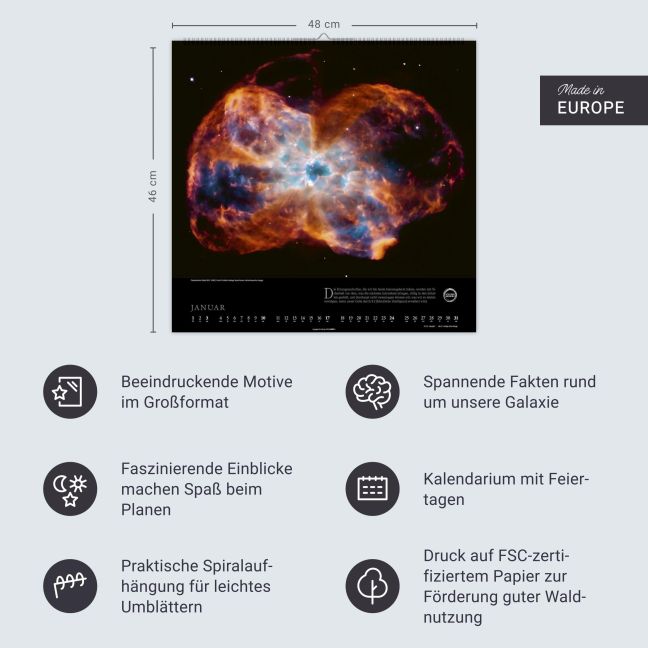 InsideView 13
