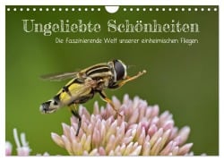 Ungeliebte Schönheiten - die faszinierende Welt unserer heimischen Fliegen (Wandkalender 2026 DIN A4 quer), CALVENDO Monatskalender - Leon Uppena