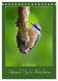 Heimische Vögel in Ihren Gärten (Tischkalender 2024 DIN A5 hoch), CALVENDO Monatskalender - William Hauffe