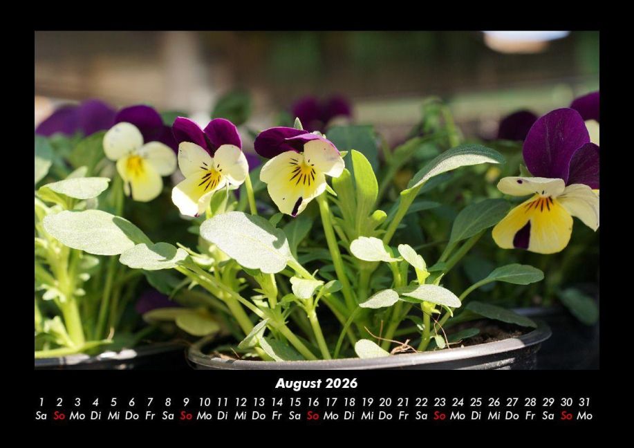InsideView 12