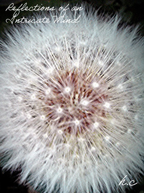 Reflections of an Intricate Mind - H. C.
