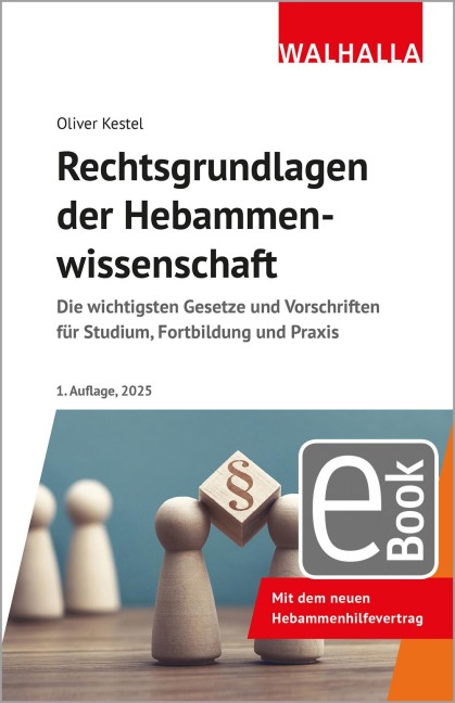 Rechtsgrundlagen der Hebammenwirtschaft - Oliver Kestel