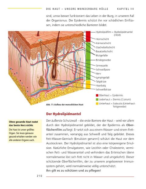 InsideView 4