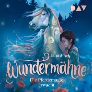 Cover-Bild zum Titel 'Wundermähne - Teil 1: Die Pferdemagie erwacht' von 'Jana Hoch'