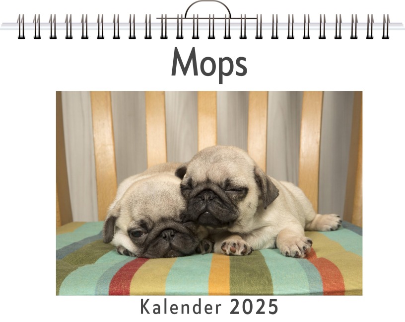 Mops - Anton König