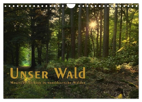 Unser Wald - Magische Sichten in norddeutsche Wälder / Geburtstagskalender (Wandkalender 2024 DIN A4 quer), CALVENDO Monatskalender - Heike Langenkamp