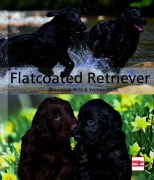 Cover-Bild zum Titel 'Flatcoated Retriever' von 'Rosemarie Wild, Yvonne Jaussi'