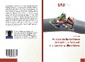 Cover-Bild zum Titel 'Analyse de la résilience énergétique face aux changements climatiques' von 'T. Flinso Assan'