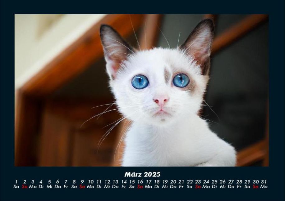 InsideView 7