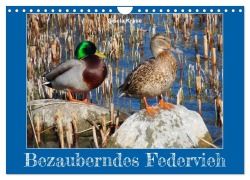Cover-Bild zum Titel 'Bezauberndes Federvieh (Wandkalender 2026 DIN A4 quer), CALVENDO Monatskalender' von 'Gisela Kruse'