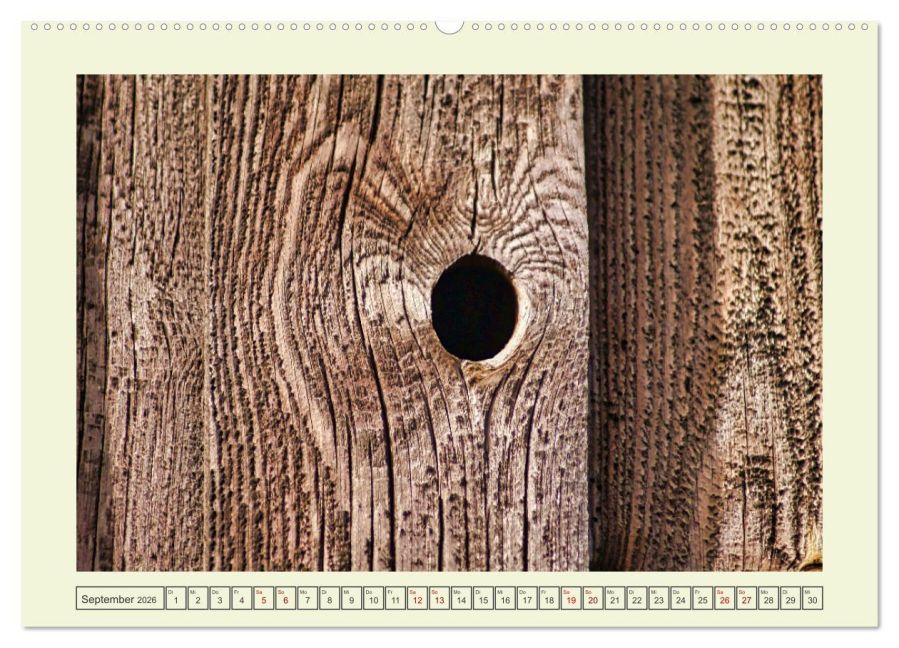 InsideView 14