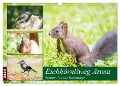 Eichhörnliweg Arosa - Eichhörnchen und Tannenhäher (Wandkalender 2024 DIN A3 quer), CALVENDO Monatskalender - Stefanie Und Philipp Kellmann