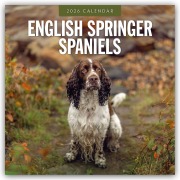 Cover-Bild zum Titel 'English Springer Spaniels - Englisch Springer Spaniels 2026 - 16-Monatskalender' von 'Robin Red'