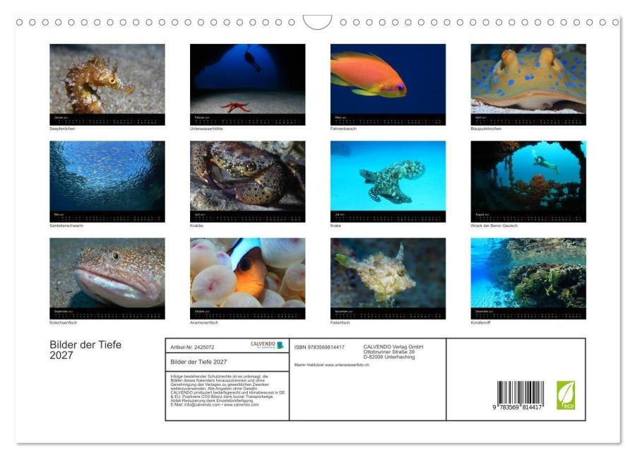 InsideView 5