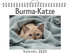 Burma-Katze - David Schmidt