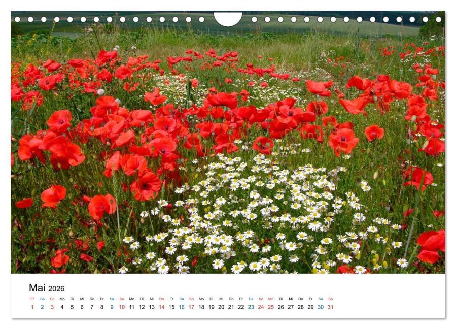 InsideView 10