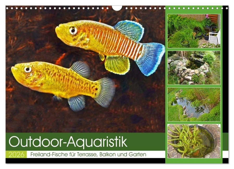 Outdoor-Aquaristik (Wandkalender 2026 DIN A3 quer), CALVENDO Monatskalender - Rudolf Pohlmann