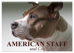 Cover-Bild zum Titel 'American Staff und Co. (Wandkalender 2026 DIN A3 quer), CALVENDO Monatskalender' von 'Elisabeth Stanzer'
