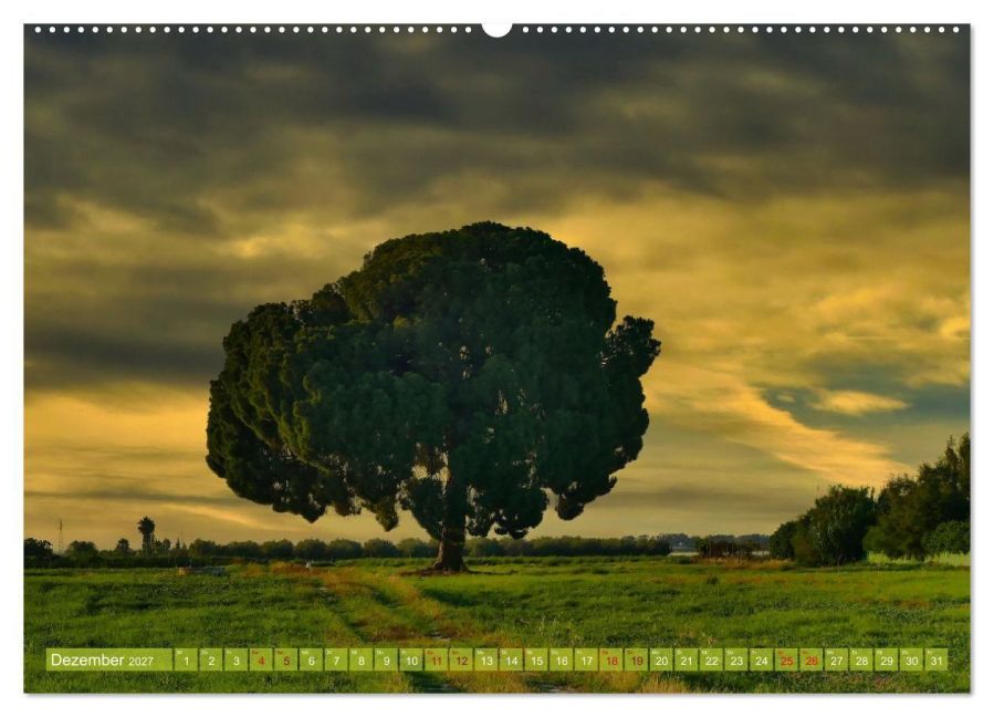 InsideView 3