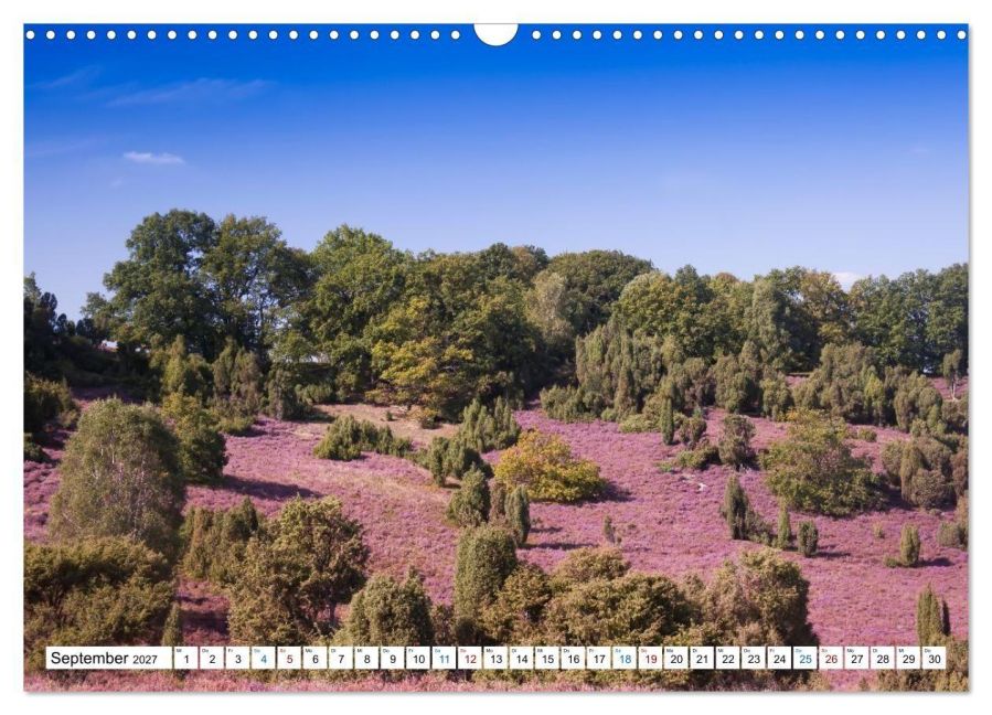 InsideView 14