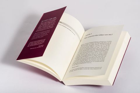 InsideView 4
