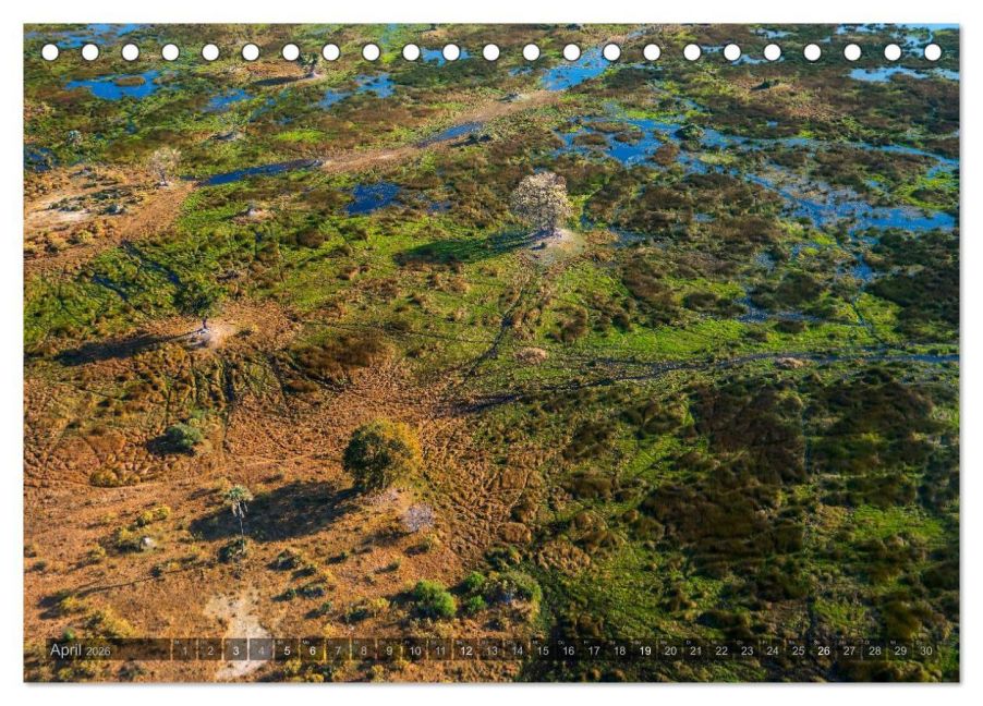 InsideView 9
