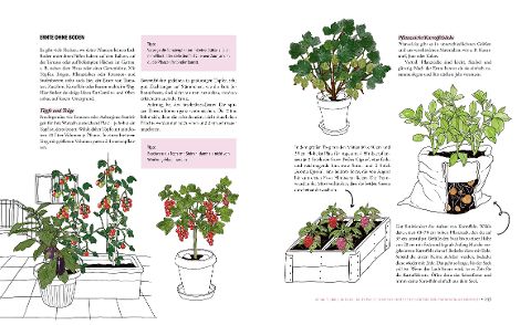 InsideView 6