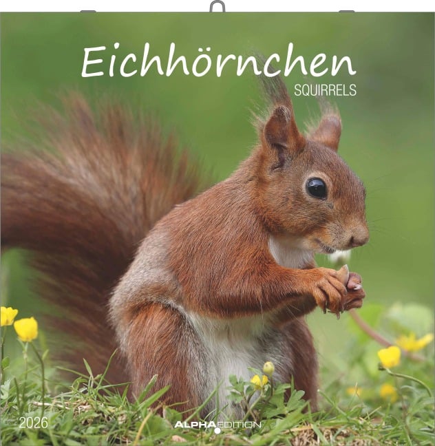 Eichörnchen - Broschürenkalender im Format 30 x 30 mit Notizkalendarium - 