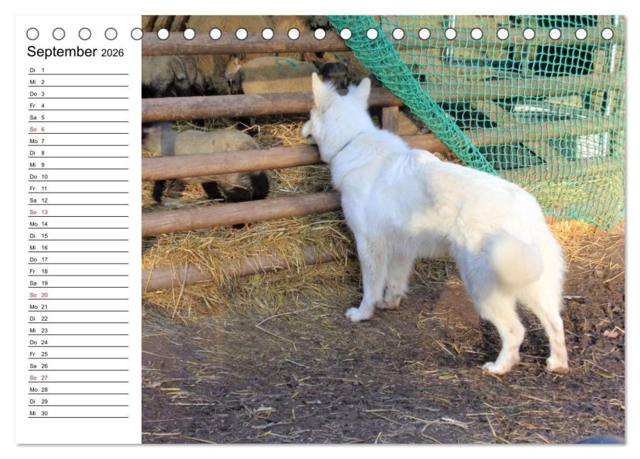 InsideView 14