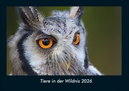 Cover-Bild zum Titel 'Tiere in der Wildnis 2026 Fotokalender DIN A4' von 'Tobias Becker'