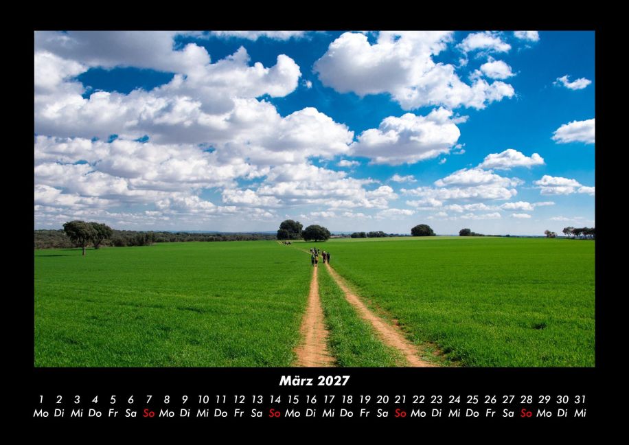 InsideView 7