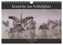 Cover-Bild zum Titel 'Kraniche am Schlafplatz in der Müritzregion (Wandkalender 2027 DIN A4 quer), CALVENDO Monatskalender' von 'André Pretzel - FotoPretzel'