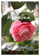 Cover-Bild zum Titel 'Kamelien Lichtblicke in der dunklen Jahreszeit (Wandkalender 2026 DIN A2 hoch), CALVENDO Monatskalender' von 'Gisela Kruse'