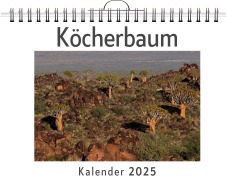 Cover-Bild zum Titel 'Köcherbaum' von 'Oliver Schäfer'