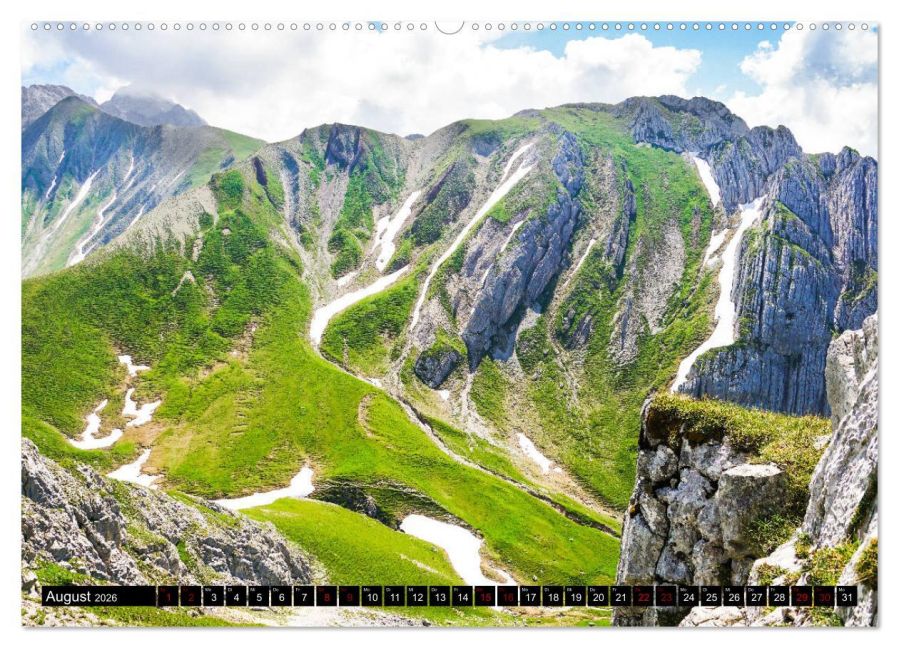 InsideView 12